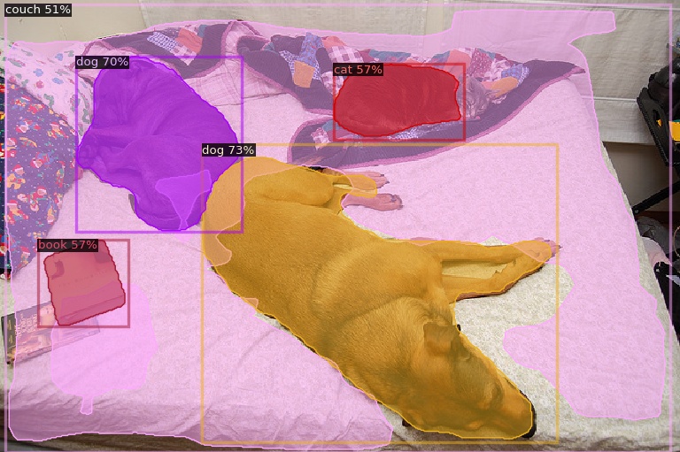 Polite Teacher instance segmentation predictions for animals and objects on a couch.